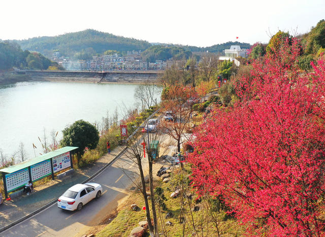 湖南嘉禾：春回大地乡村美