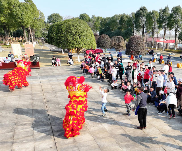 春节  景区  行龙舞狮  传统文化  杂技表演  快乐春节
