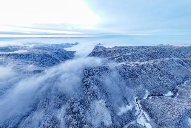 自然  林海雪原