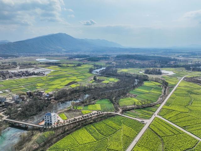 油菜花开
道县
春节假期
春意浓