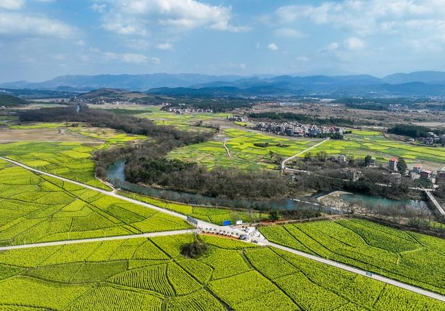 油菜花开
道县
春节假期
春意浓