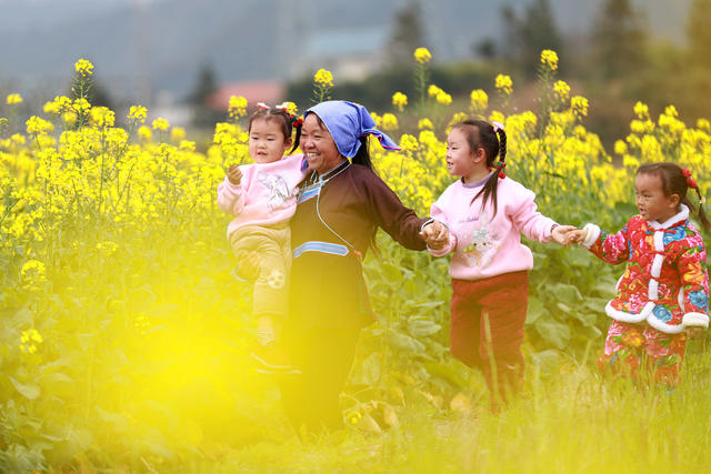 春天 游客 油菜花开 引客来 乡村振兴