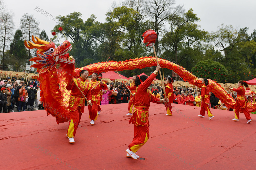 农耕稻香庆新年