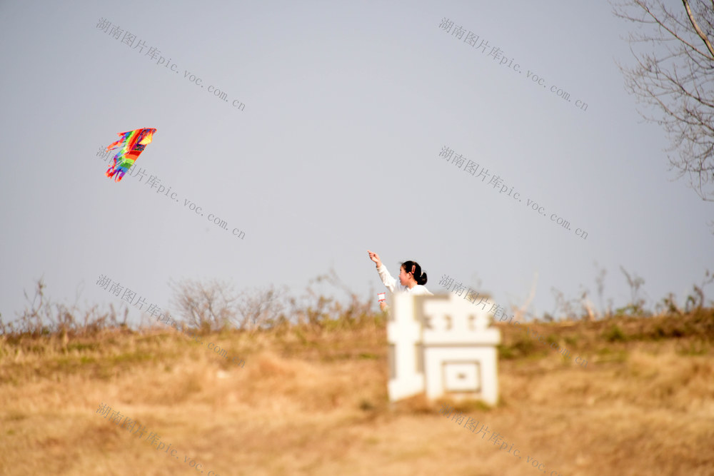 春节  景点  考古遗址公园  春意  风筝  游客