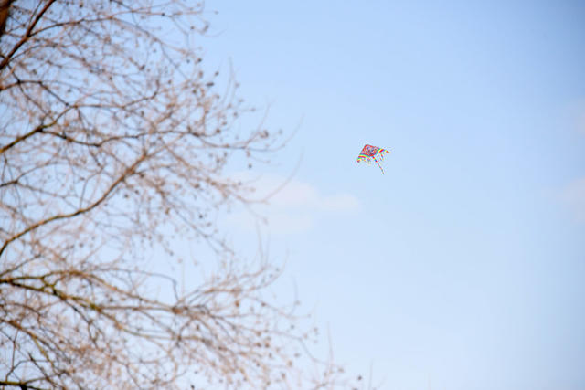 春节  景点  考古遗址公园  春意  风筝  游客