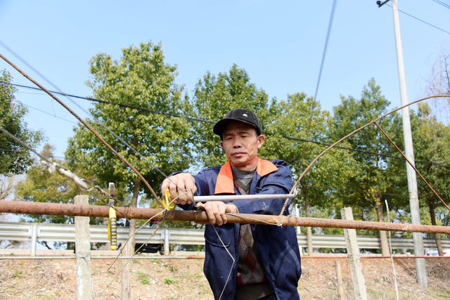 二十四节气 雨水  农事  葡萄生产 
 阳光玫瑰  葡萄架  修整更新。