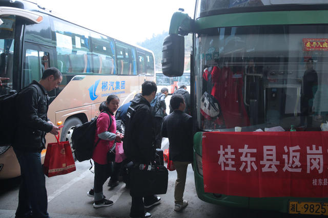 湖南桂东 返岗直通车 免费 外出务工人员 返岗 就业 春节
