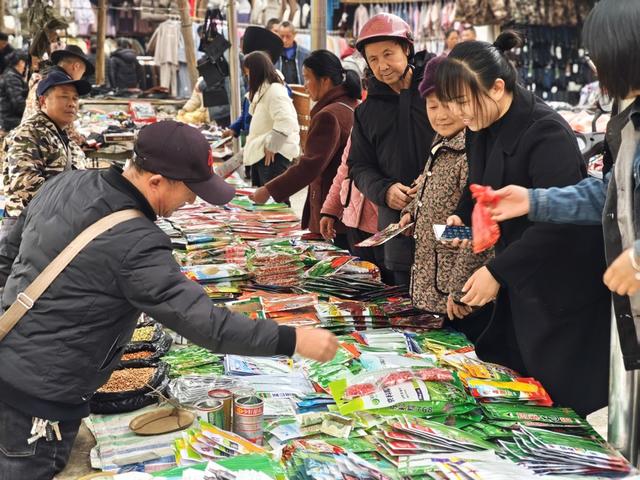 凤凰  廖家桥镇  圩场上  农民  选购种子  农资店铺  选购种子  