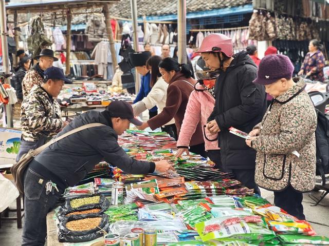 凤凰  廖家桥镇  圩场上  农民  选购种子  农资店铺  选购种子  