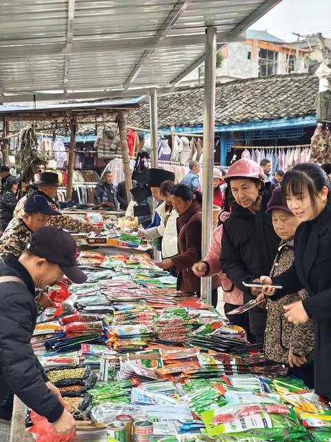 凤凰  廖家桥镇  圩场上  农民  选购种子  农资店铺  选购种子  