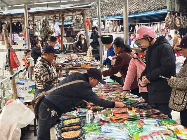 凤凰  廖家桥镇  圩场上  农民  选购种子  农资店铺  选购种子  