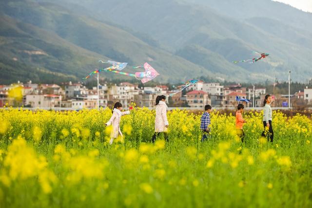油菜花 春天 春色 美丽乡村 风景 春光