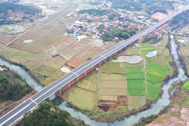 初春  时节  天气  公路  立交桥  高速  油菜  农田  交通  田园