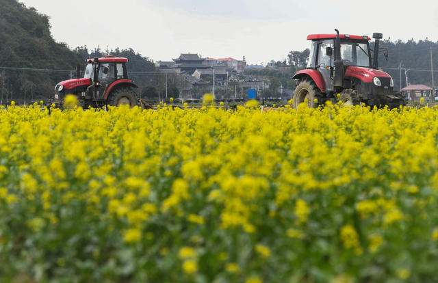 人勤春早
农事忙
蔬菜
翻耕
道县