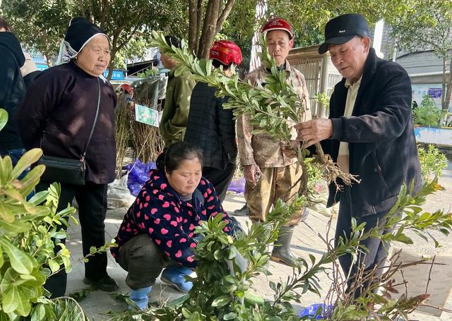 栽红植绿正当时
