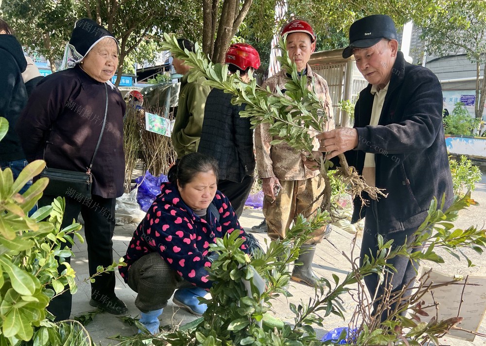 栽红植绿正当时
