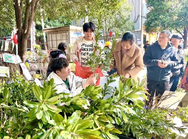栽红植绿正当时
