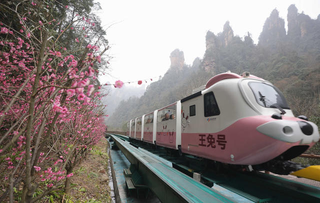 梅花 张家界 十里画廊 