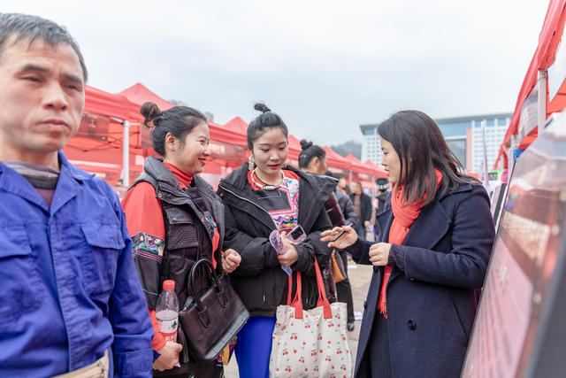 吉首 春风行动 招聘 就业