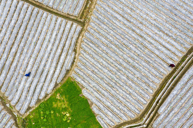 农业  雨水  湘西  农村 