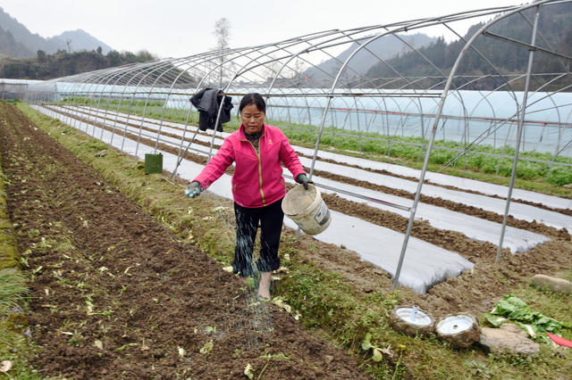  备耕  雨水 农民 农业  春耕   整地