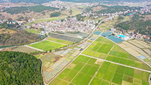 湖南 新田 春日 田园美