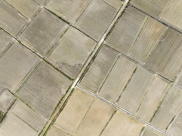 春耕 备耕 农时  晴天  春天  农民