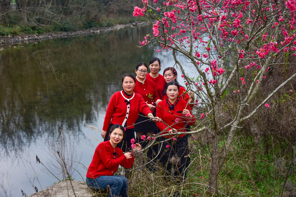 小微湿地公园  生态保护  新农村  小游园  赏花