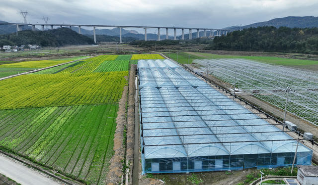 湖南郴州市   坳上镇   蔬菜基地 黄建华