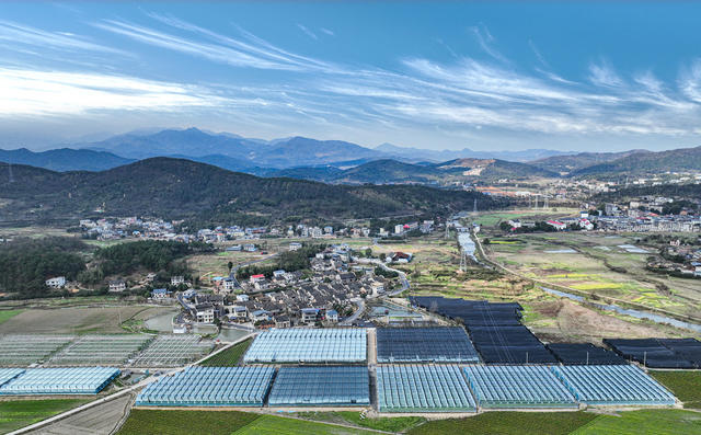 湖南郴州市   坳上镇   蔬菜基地 黄建华