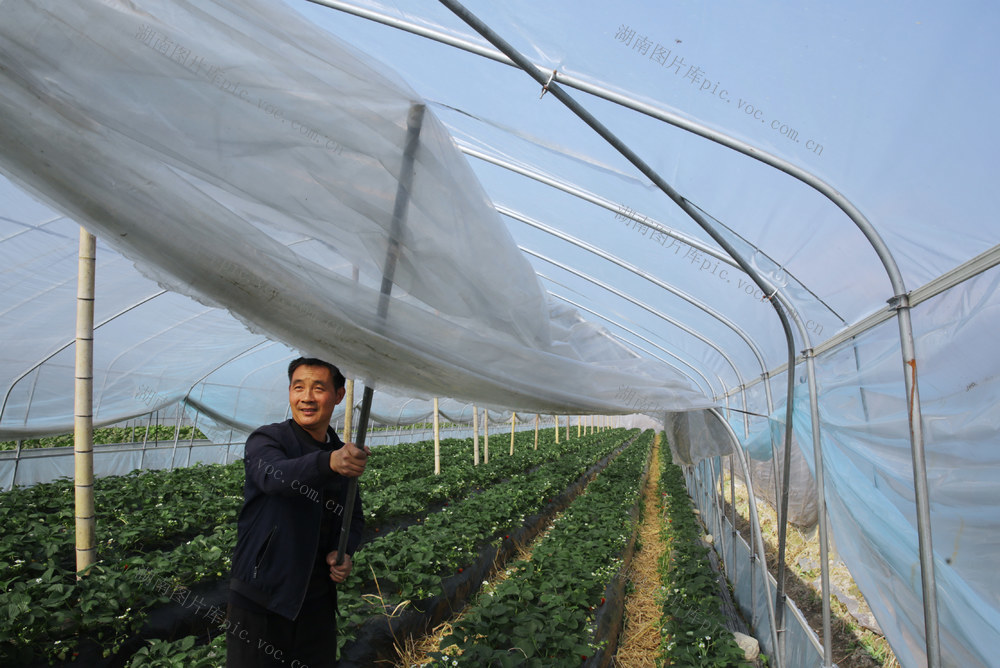 湖南桂东 寒 冻 強寒朝