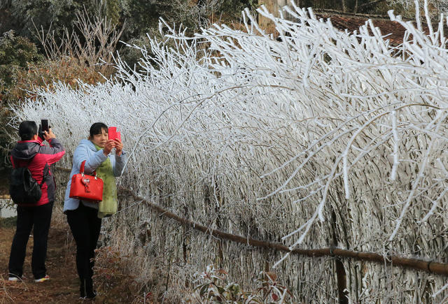 湖南桂东 雪 元宵 雾凇