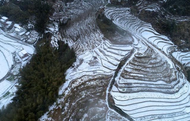 湖南桂东 雪 元宵 雾凇
