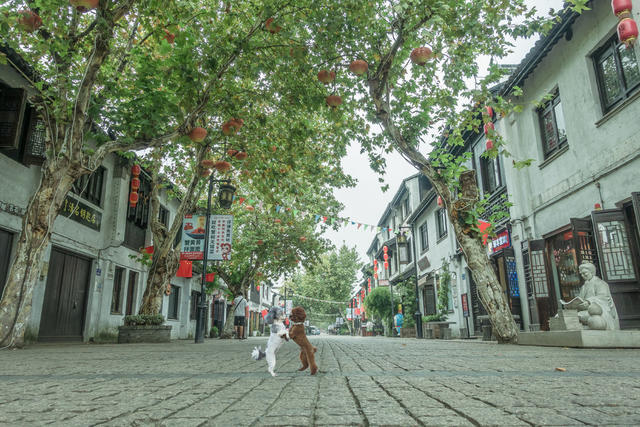 无锡  风景  墙画  古街  南长街  旅游