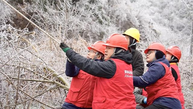 电网 破冰 党员 雪 冰雪 