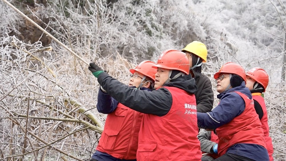 电网 破冰 党员 雪 冰雪 