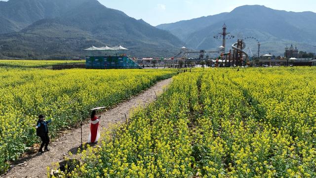 湖南郴州   城东  油菜花  黄建华  郴州长卷  东湖  
