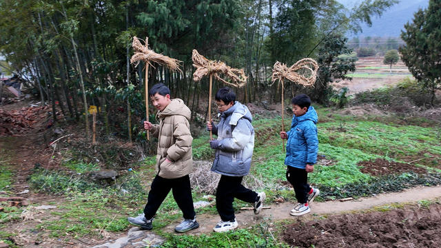 2024年 龙年 临武 元宵 舞龙 闹 新春 文龙 跳龙 黄龙 