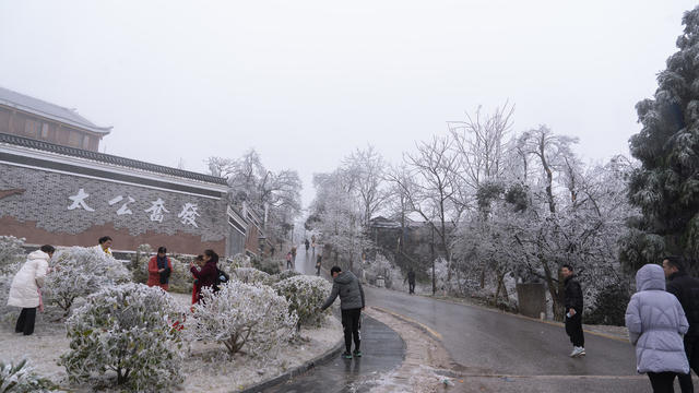 冰雪  景区  游玩  假期  梅花