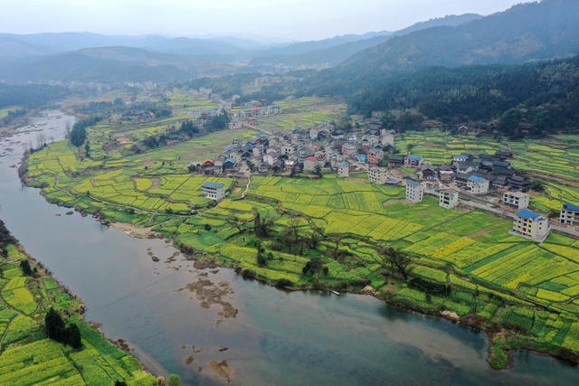 美丽 乡村 旅游 稻油 轮作 花海 经济
