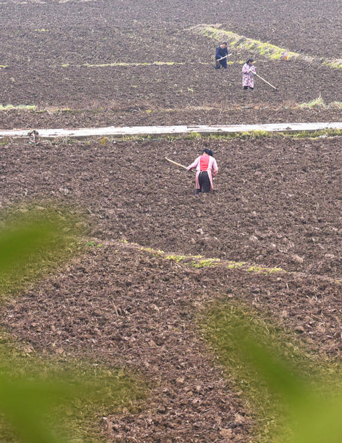 嘉禾：田管农忙