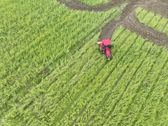 春耕
农田
助农
志愿者
道县
