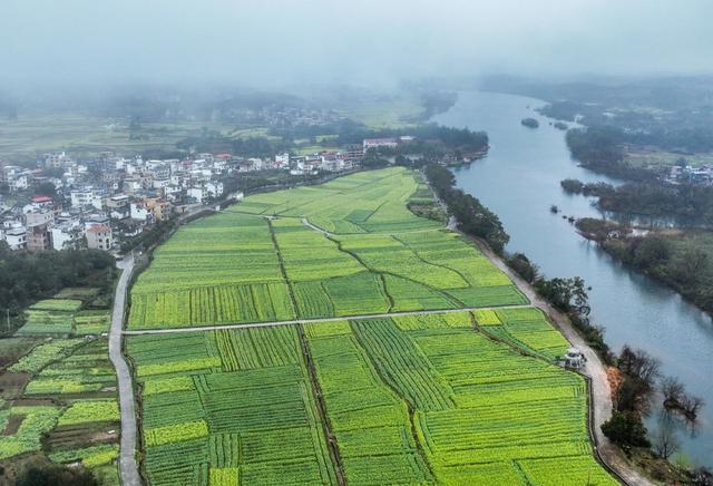 油菜
春色
道县
春天
产业
