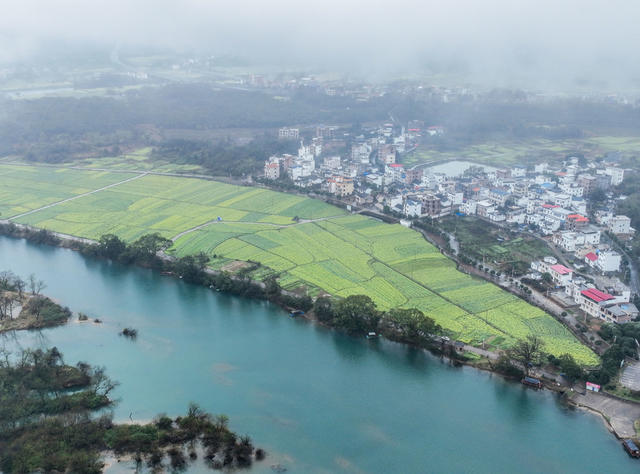 油菜
春色
道县
春天
产业
