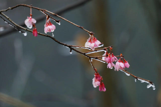 雨雪冰冻
