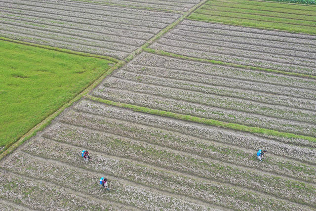 湖南，湘西，春天，劳作，忙碌，农业，生产，农时