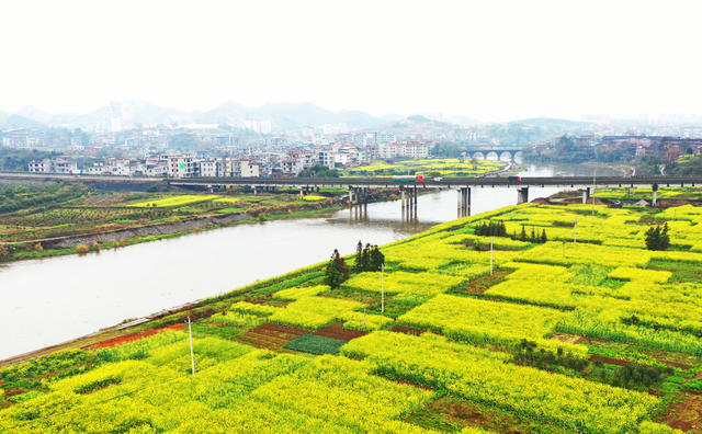 嘉禾：美丽春景入画来