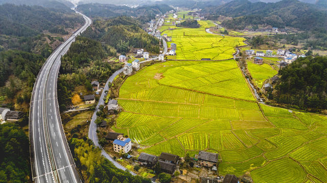 通道 乡村 油菜 花开 春色 美