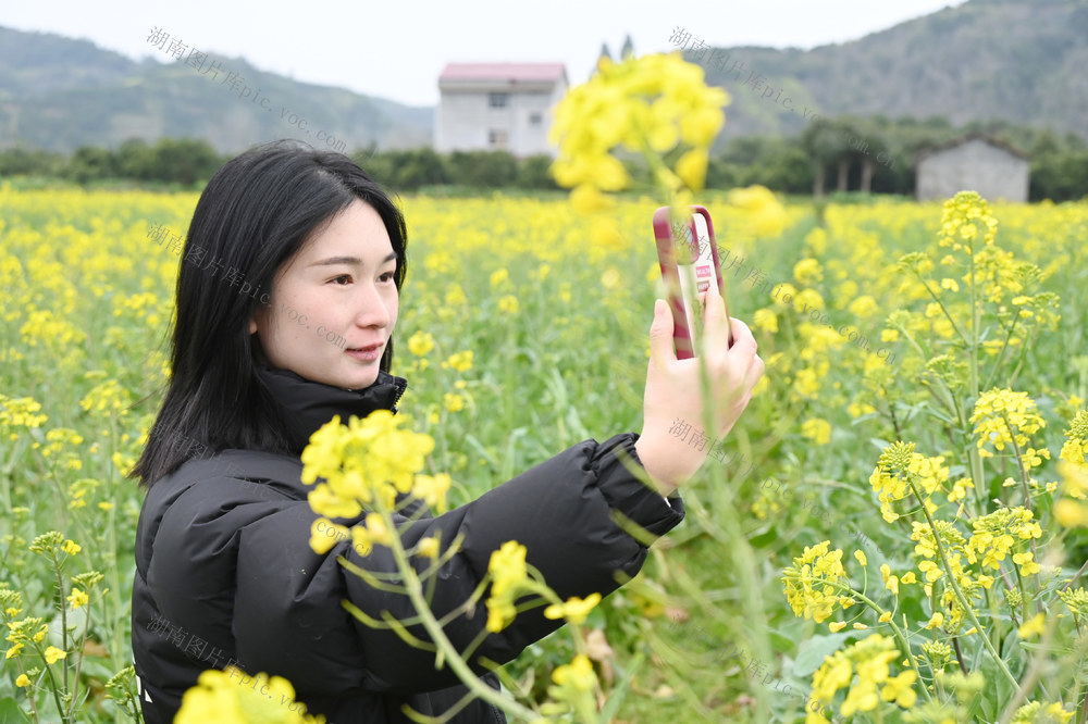 油菜花，美女