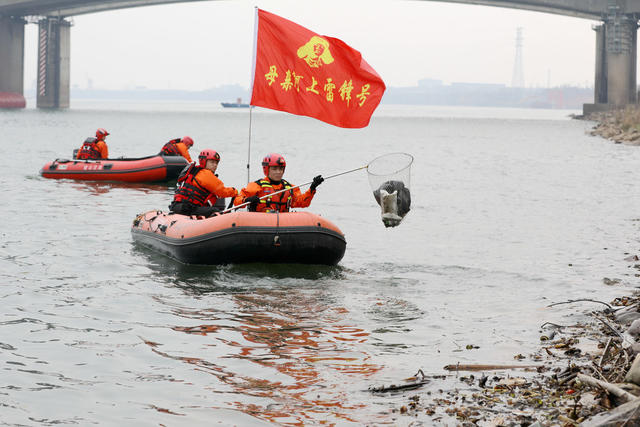 母亲河 雷锋传人 3·5”学雷锋 志愿服务 大自然 天更蓝 水更净